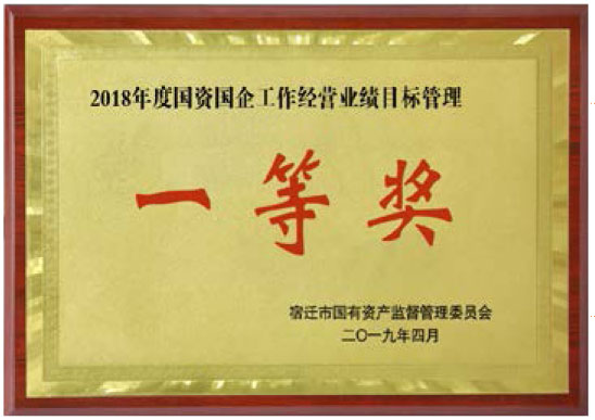 2018年度國(guó)資企業(yè)工作經(jīng)營(yíng)業(yè)績(jī)目標(biāo)管理一等獎(jiǎng)